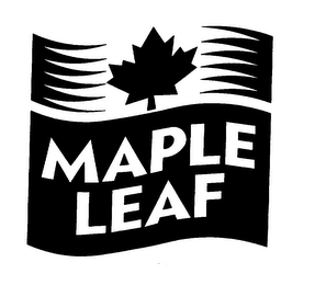 MAPLE LEAF logo