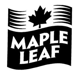 MAPLE LEAF logo
