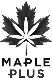 MAPLE PLUS logo