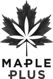 MAPLE PLUS logo