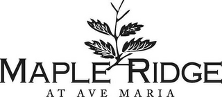 MAPLE RIDGE AT AVE MARIA logo