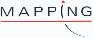 MAPPING logo