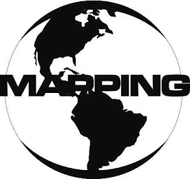 MAPPING logo