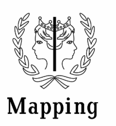 MAPPING logo