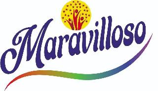 MARAVILLOSO logo