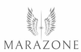 MARAZONE logo