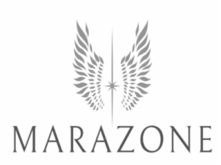 MARAZONE logo