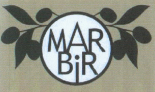 MARBIR logo