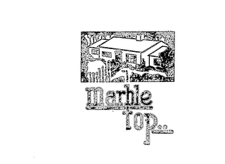 MARBLE TOP logo