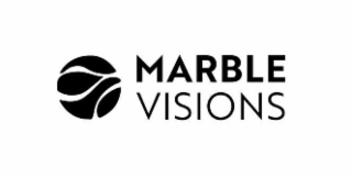 MARBLE VISIONS logo