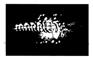 MARBLEJAM logo