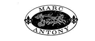 MARC ANTONY logo