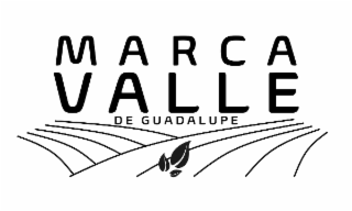 MARCA VALLE DE GUADALUPE logo
