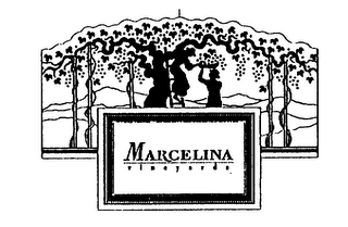 MARCELINA VINEYARDS logo