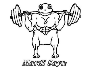 MARDI SAYS: logo