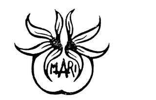 MARI logo