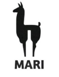 MARI logo