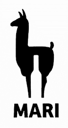 MARI logo