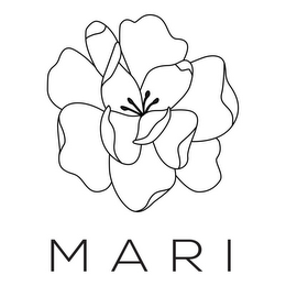 MARI logo