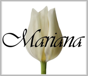 MARIANA logo