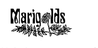 MARIGOLDS logo