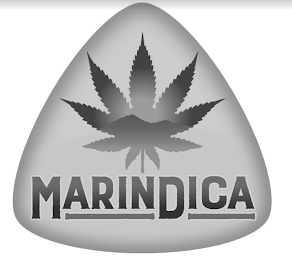 MARINDICA logo