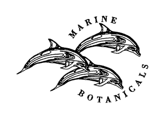 MARINE BOTANICALS logo