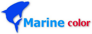 MARINE COLOR logo