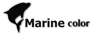 MARINE COLOR logo