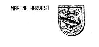MARINE HARVEST logo