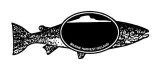 MARINE HARVEST IRELAND logo