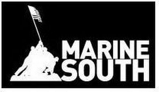 MARINE SOUTH logo