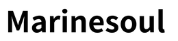 MARINESOUL logo