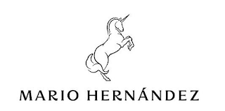 MARIO HERNÁNDEZ logo