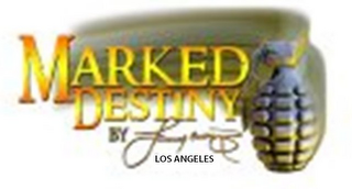 MARKED DESTINY BY J DAREY CASTRO B LOS ANGELES logo
