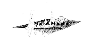 MARKET MODELING PERCEPTUAL MAPPING FOR RADIO logo