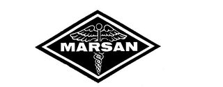 MARSAN logo