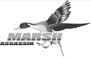 MARSH ASSASSIN logo