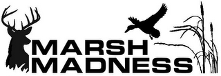 MARSH MADNESS logo