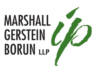 MARSHALL GERSTEIN BORUN LLP IP logo