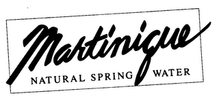 MARTINIQUE NATURAL SPRING WATER logo