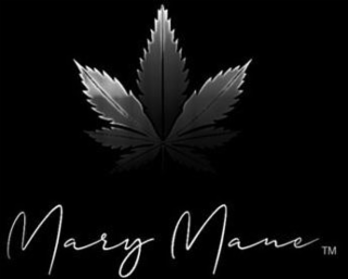 MARY MANE logo