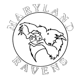 MARYLAND RAVENS D A P logo