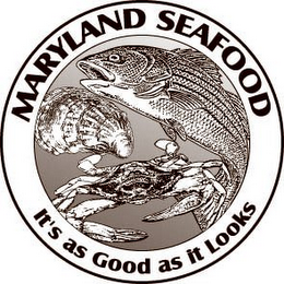MARYLAND SEAFOOD IT'S AS GOOD AS IT LOOKS logo