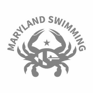 MARYLAND SWIMMING logo