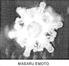MASARU EMOTO logo