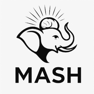 MASH logo