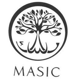 MASIC logo