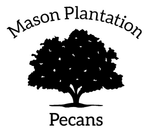 MASON PLANTATION PECANS logo