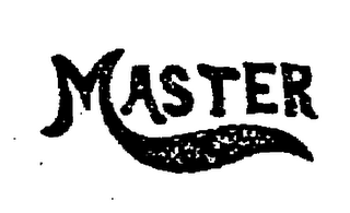 MASTER logo